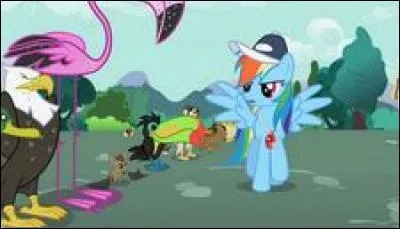 Qui va devenir l'animal de compagnie de Rainbow Dash ?