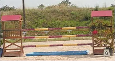 Quel est le nom de cet obstacle ?