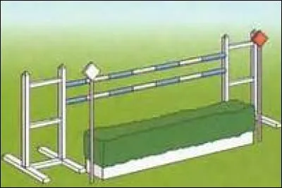 Comment s'appelle cet obstacle ?