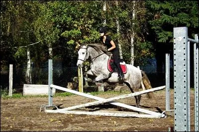 Comment s'appelle cet obstacle ?