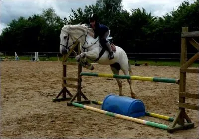 Comment appelle-t-on cet objet ?