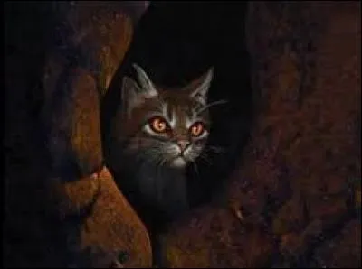 Quel est son nom de guerrier ?