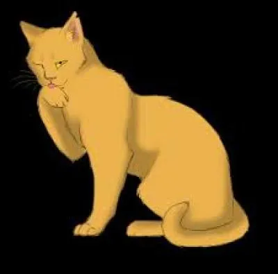 Qui sont ses deux compagnes ?