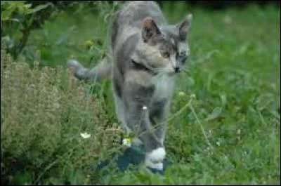 Qui est sa grand-mère ?