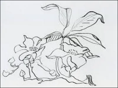 Être féminin imaginaire qui possède des pouvoirs magiques :