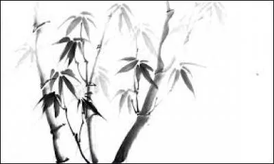 Tonneau où l'on met le vin, le cidre, etc. :