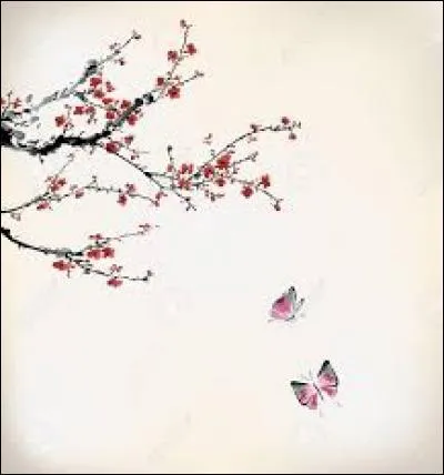 Passé simple du verbe "faire" :