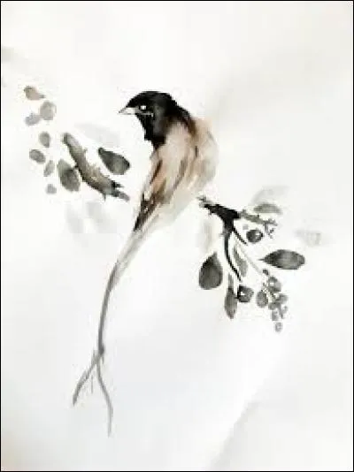 Situation engendrant un effet comique :