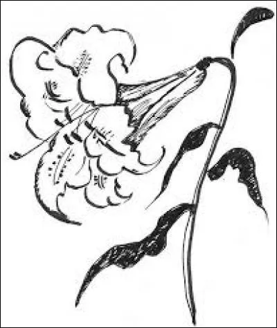 Peut être rouge, follet ou d'artifice :