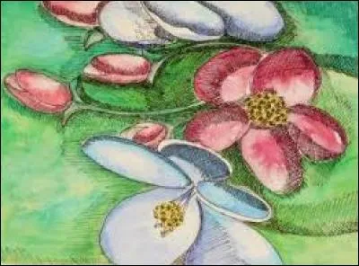 Verrue des équidés et des bovins :