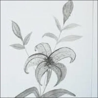 Marine. Voile triangulaire placée à l'avant d'un bateau :