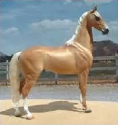 Quelle est cette race ?