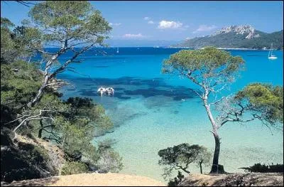 À quel département l'île de Porquerolles est-elle rattachée ?
