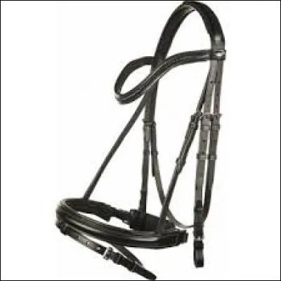 Trouvez l'intrus dans les parties du filet.