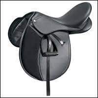 Quiz Galop 1