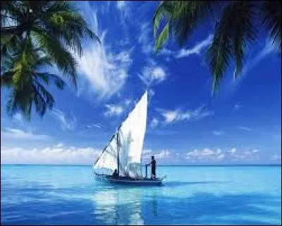 Quel pays africain n'est pas bordé par l'océan Indien ?