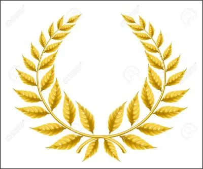Quel pays a pour unique symbole sur son drapeau une couronne d'or entourant une branche d'olivier ?