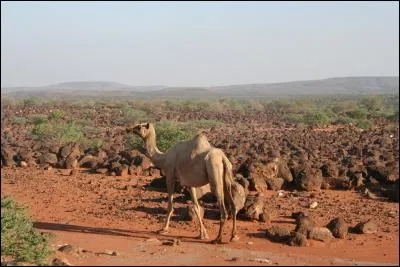 Quel pays africain n'est pas bordé par l'océan Atlantique ?