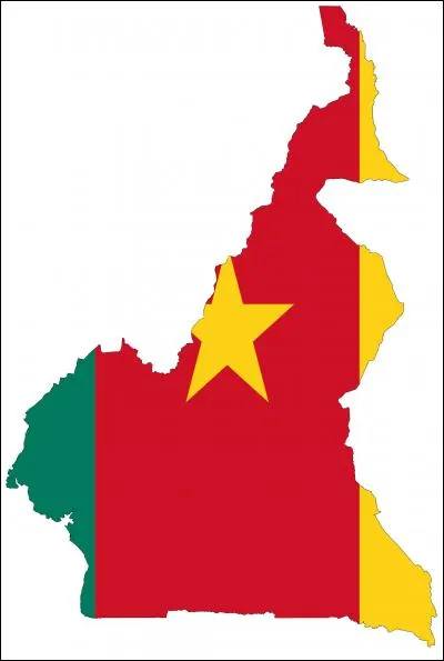 Combien de pays ont un drapeau constitué des mêmes couleurs que celui du Cameroun ?