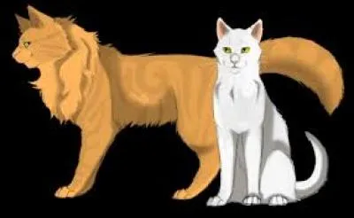 Comment s'appelle son frère ?