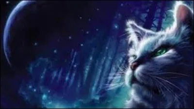 Tornade Blanche est le neveu de...