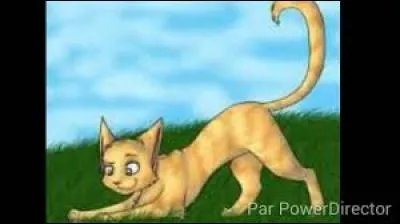 Quel était le premier apprenti de Tornade Blanche ?