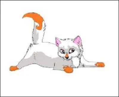 Quel était son deuxième apprenti ?