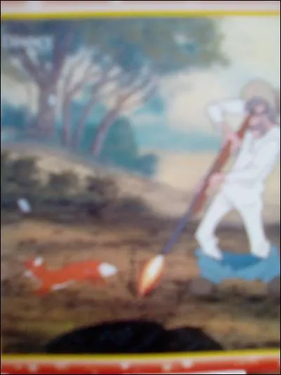 Quel est le prénom de Slade dans 'Rox et Rouky" ?