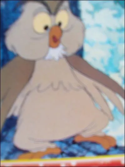 Quel est le nom du hibou dans "Merlin l'enchanteur" ?