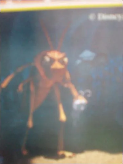 Dans "1001Pattes", quel est le nom du frère du borgne ?