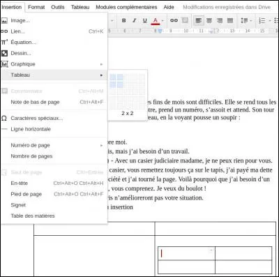 Sur l'image, 2 x 2 veut dire...