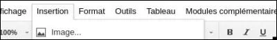 Que peut on insérer dans un texte avec le menu "Insertion" ?