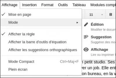 Quand l'affichage est en mode affichage on ne voit pas :