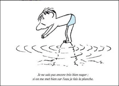 2014- Quelle est cette comédie enfantine de Laurent Tirard qui pose entre autres, un regard tendre et drôle sur l'enfance et son innocence, le tout dans un univers très coloré ?