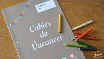 En 1932, ce petit livret s'appelait Devoirs de vacances. Aujourd'hui, le concept a évolué. Colorés, ludiques, mais toujours éducatifs, les cahiers de vacances ont la côte . A qui revient cette invention ?