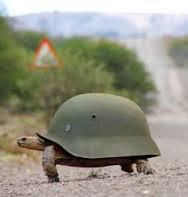 Quiz Guerre