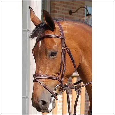 Ce cheval a un filet avec une muserolle......