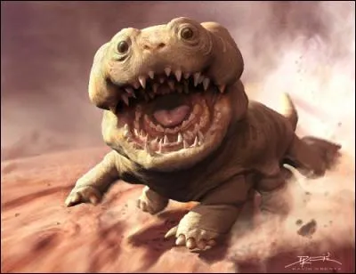 Qui Woola a-t-il pris en affection ?