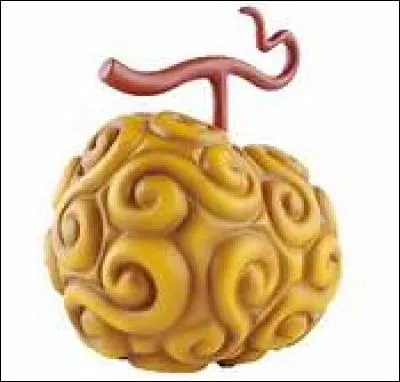 Qui possède le Hito Hito no Mi