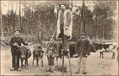 Un jour sur ses longs pieds allait je ne sais où ...