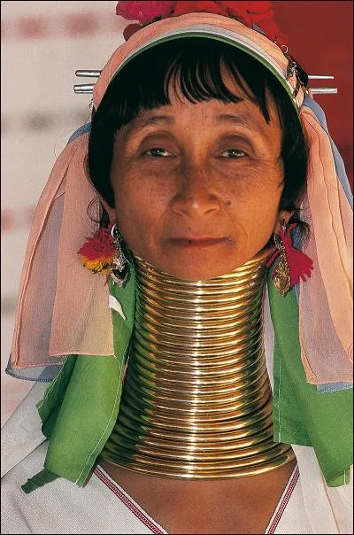 Avez-vous une petite idée de l'animal ?