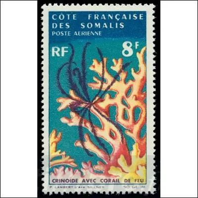 Trouvez le bon serpent grâce au timbre !