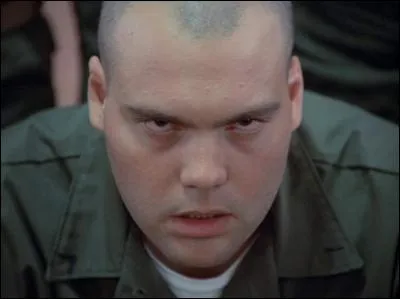 Cette photo est celle de l'acteur Vincent d'Onofrio, chef, oui chef !