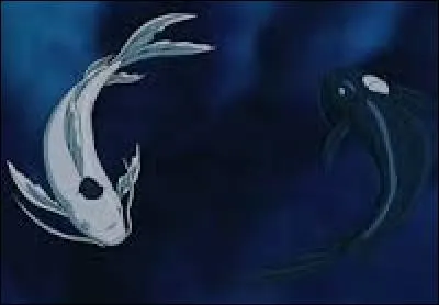 Quel esprit a été tué pendant la bataille entre la nation du feu et la tribu de l'eau du nord ?