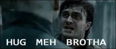 À quel personnage Harry Potter tente-t-il de dire au revoir ?