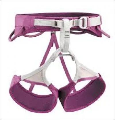 Quel autre mot désigne un harnais ?