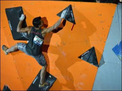 Comment nomme-t-on l'escalade à basse hauteur et sans corde ?