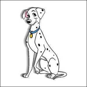 Qui est ce dalmatien ?