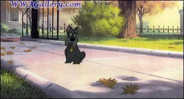 Dans quel film voit-on ce chien ?