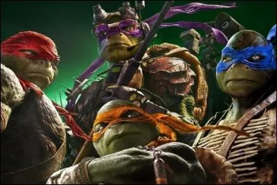 Quel est le pr&eacute;nom des 4 tortues ninjas ?